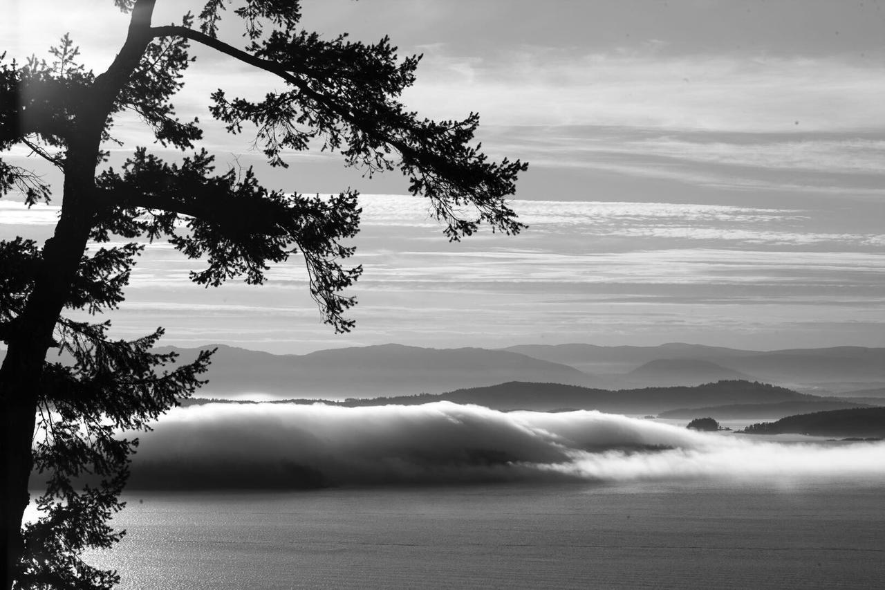 Shangri-La Oceanfront Vacation Home Bedwell Harbour エクステリア 写真